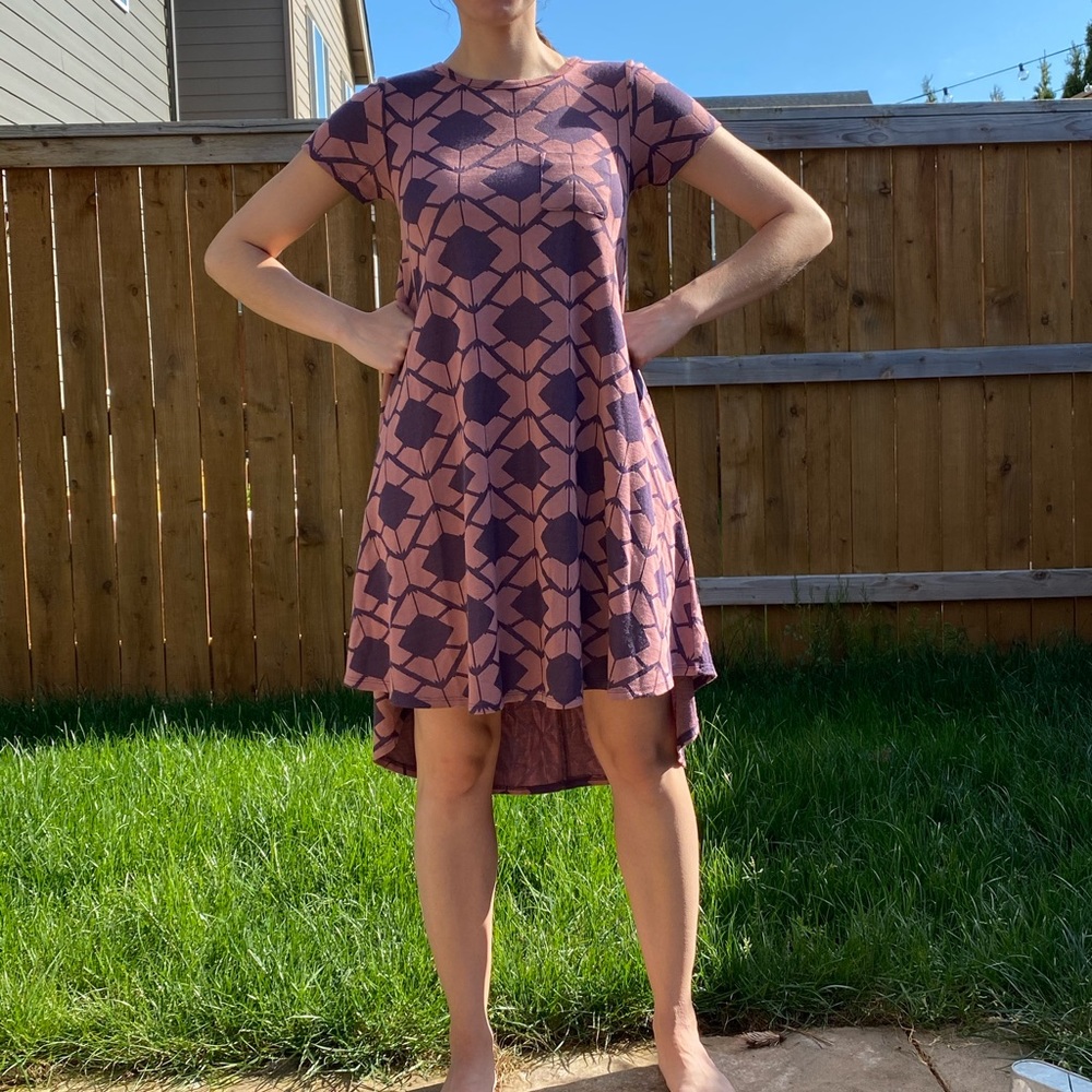 LuLaRoe CARLY dress